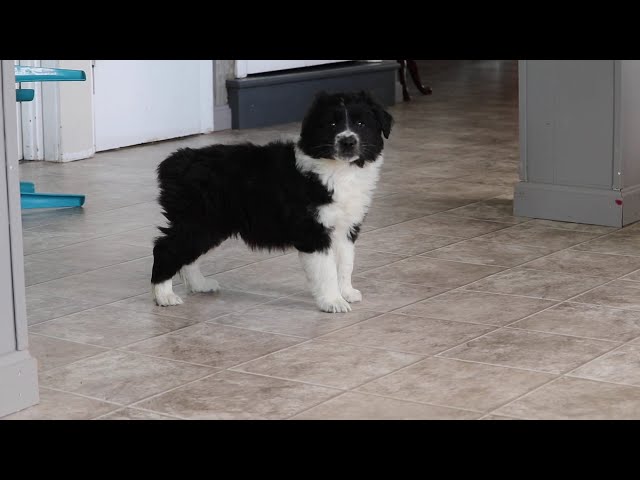 Buddy video thumbnail