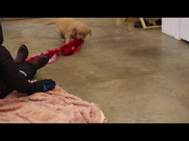 Jimmy video thumbnail