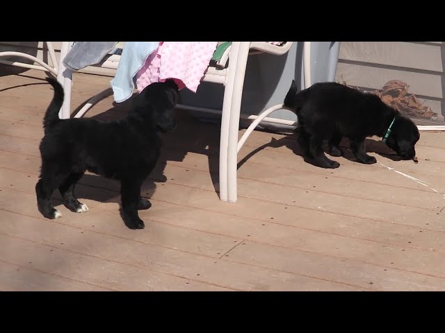 Cash video thumbnail