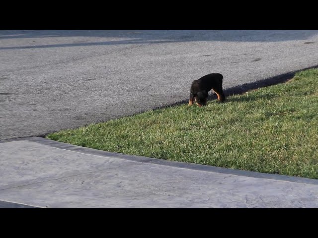 Baby video thumbnail