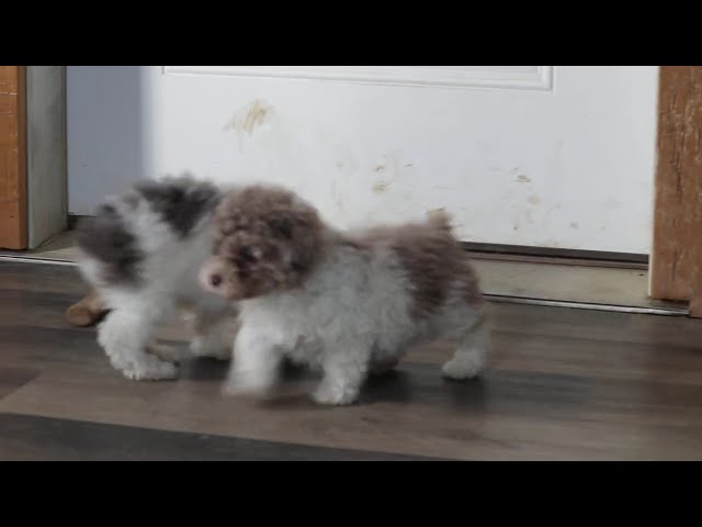 Colby video thumbnail