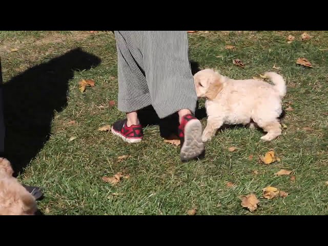 Benson video thumbnail