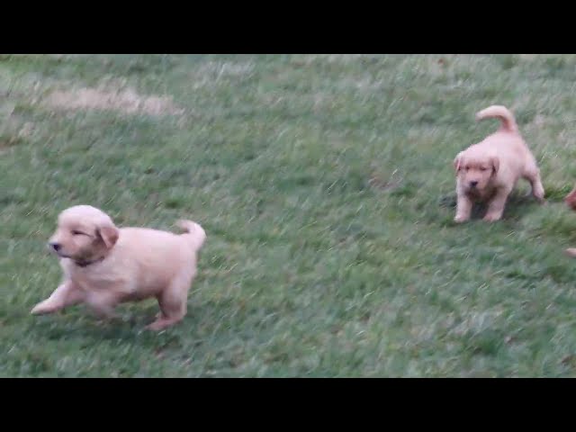 Mika video thumbnail
