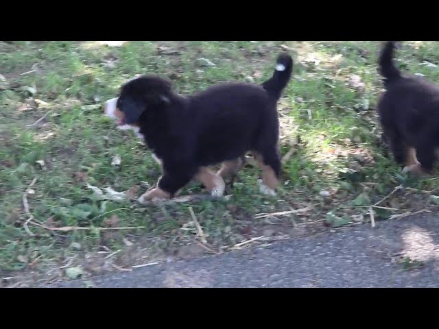 Hope video thumbnail