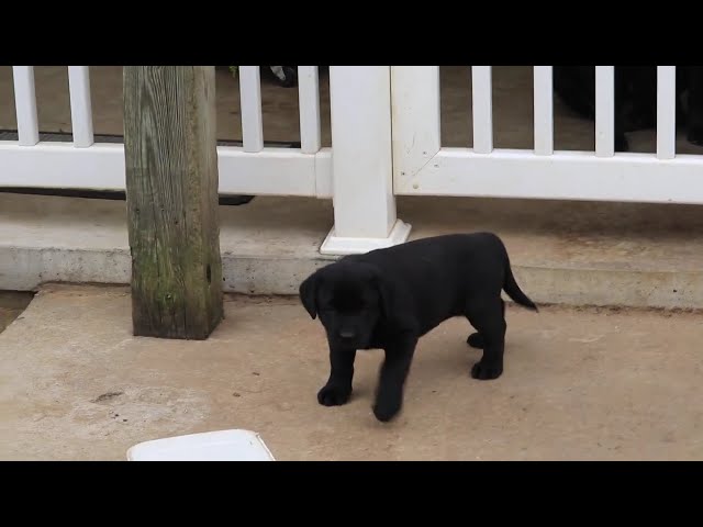 Colby video thumbnail