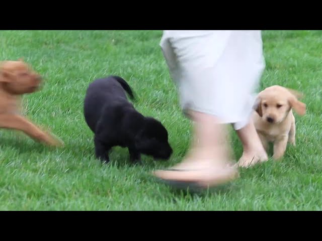 Makayla video thumbnail