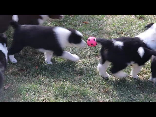 Jax video thumbnail