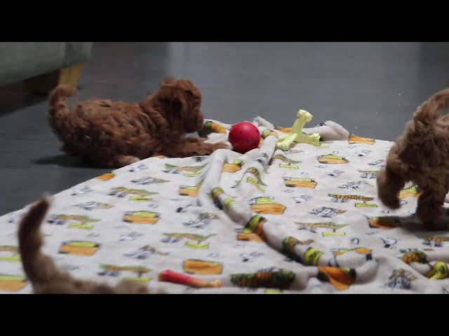 Patience video thumbnail