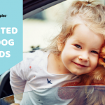 Little girl with Pomeranian dog in car