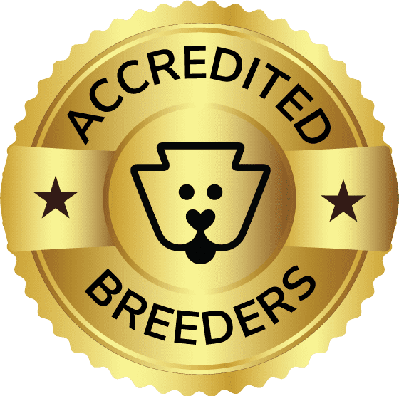 Accredited Breeder Badge