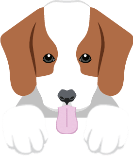Puppy face